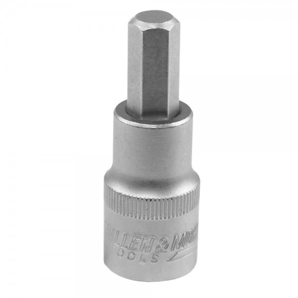 Antgalis su galvute Hex 1/2" H5, L55                                                                (17F001Z)