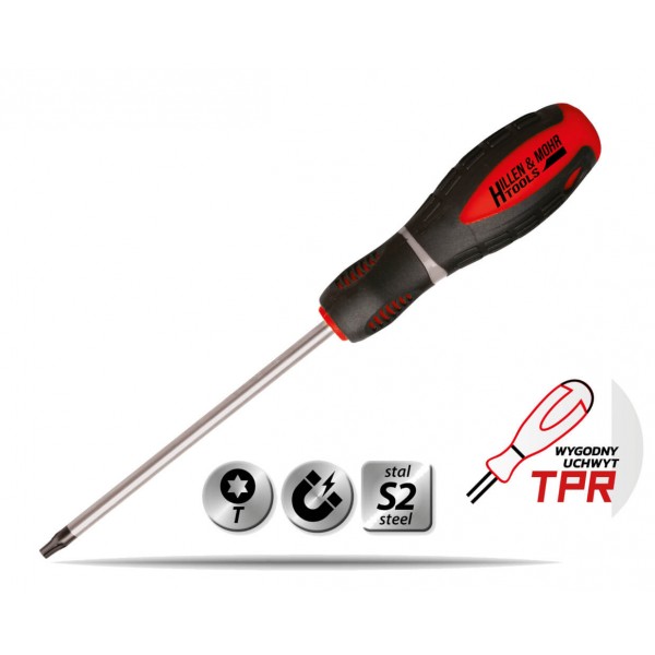 Atsuktuvas Torx T25x100mm S2                                                                             