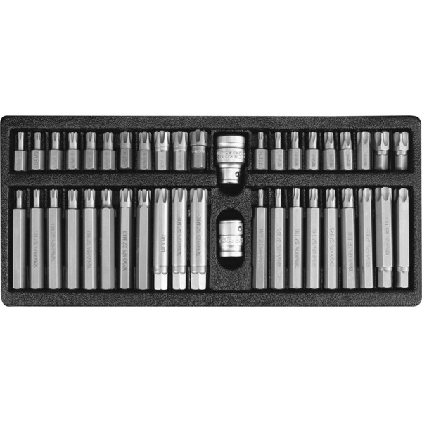 Raktų rinkinys spec. TORX 42 vnt.                                                                    (YT-0420)